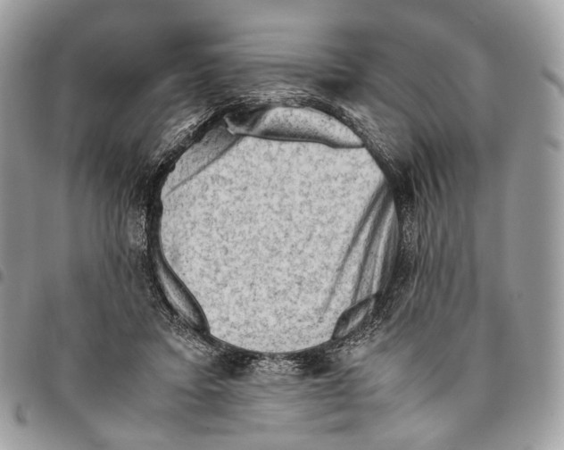 X0000096400403200802141523