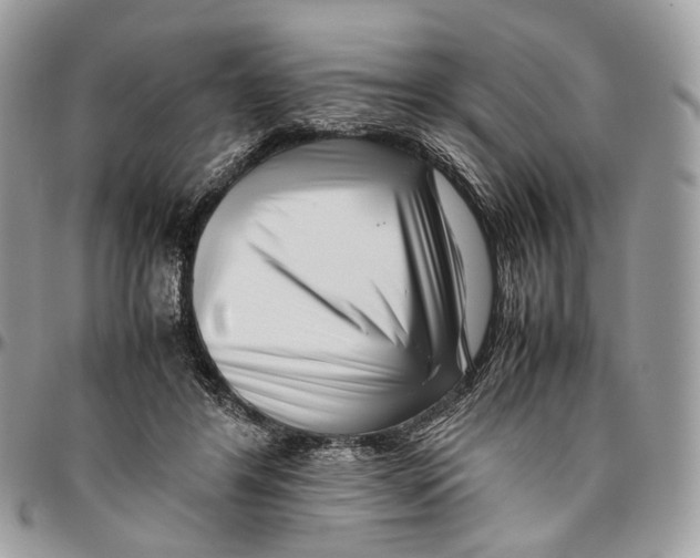 X0000096400404200802141523