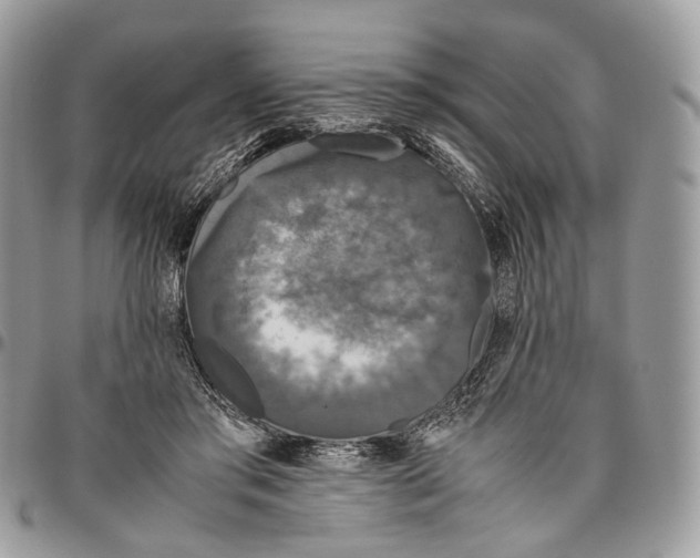 X0000096400405200802141523