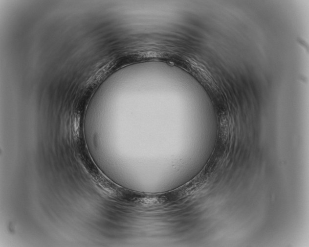 X0000096400406200802141523