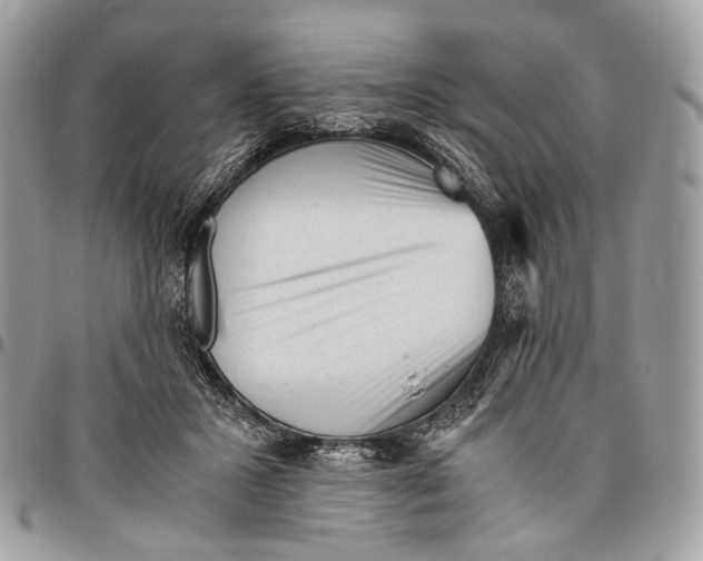 X0000096400407200802141523