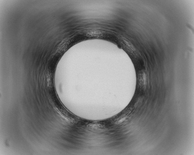 X0000096400408200802141523