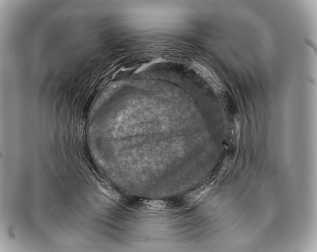 X0000096400409200802141523