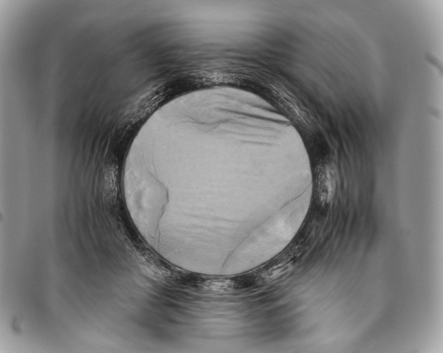 X0000096400410200802141523