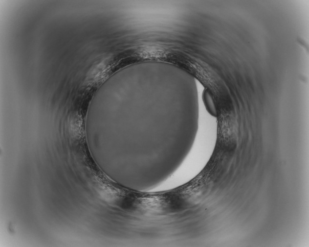 X0000096400411200802141523