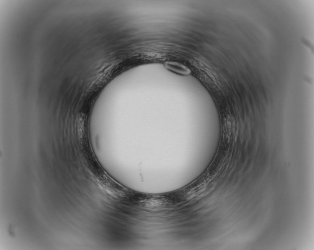 X0000096400412200802141523