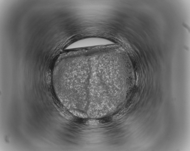 X0000096400413200802141523