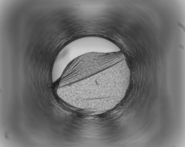 X0000096400415200802141523