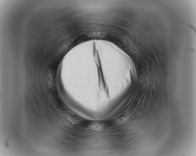 X0000096400416200802141523