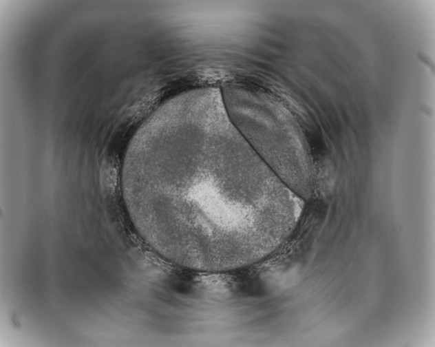 X0000096400417200802141523