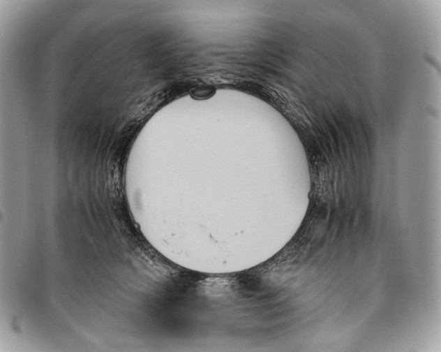 X0000096400418200802141523