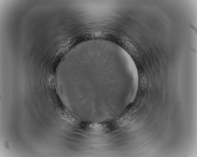 X0000096400419200802141523