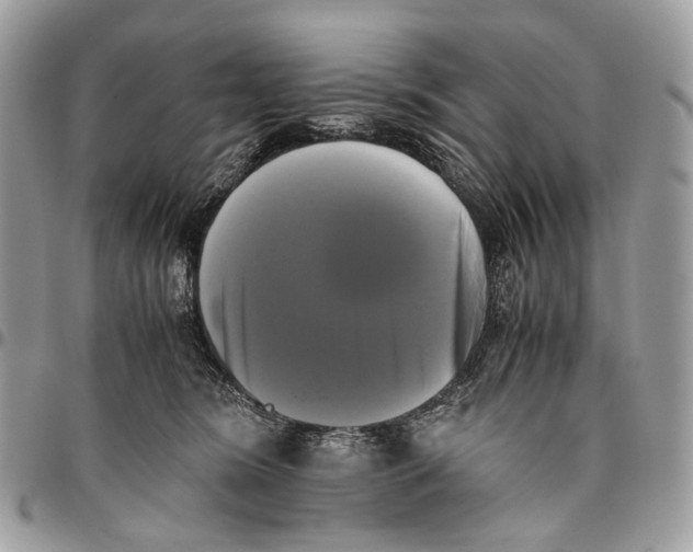 X0000096400420200802141523