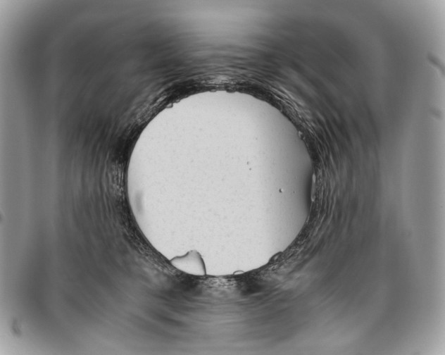 X0000096400421200802141523