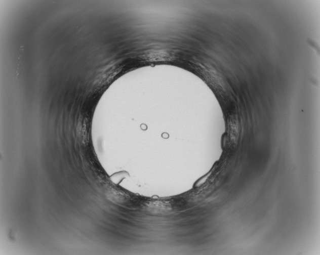 X0000096400422200802141523