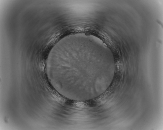 X0000096400423200802141523