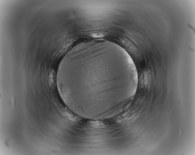 X0000096400424200802141523