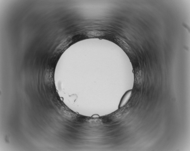 X0000096400426200802141523