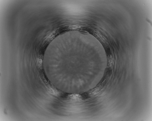 X0000096400427200802141523