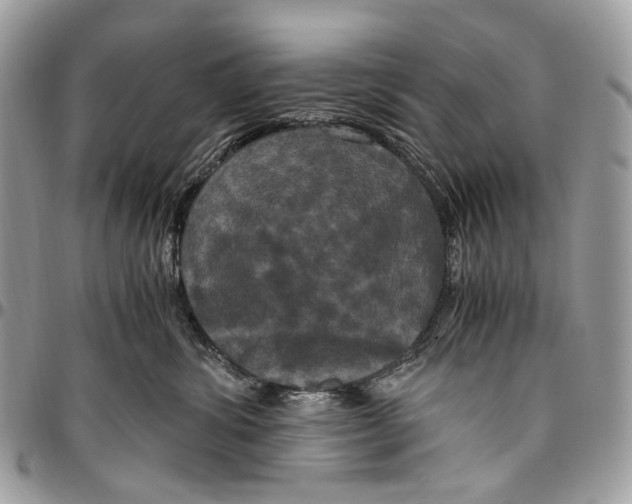 X0000096400428200802141523