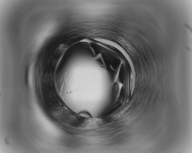 X0000096400429200802141523