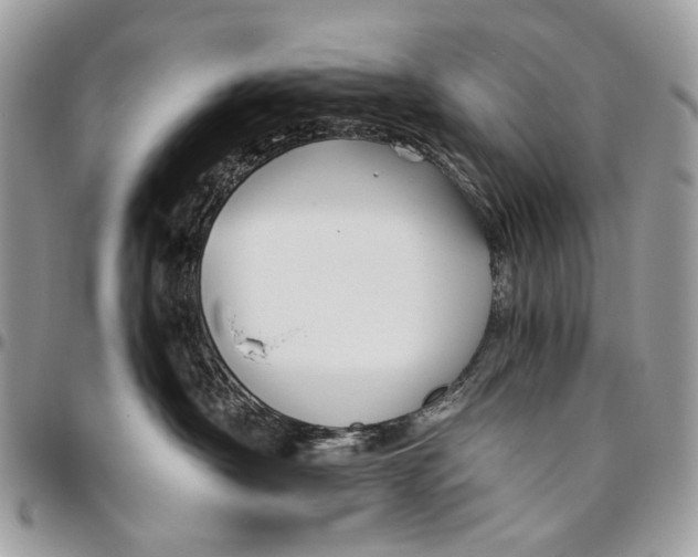 X0000096400430200802141523