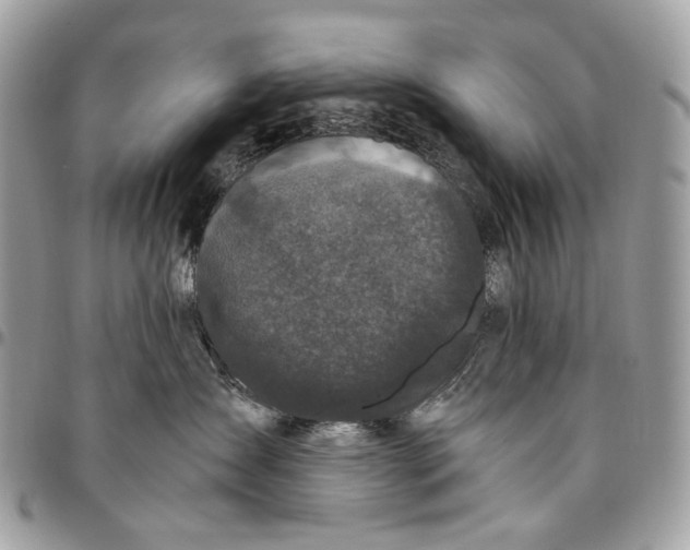 X0000096400431200802141523