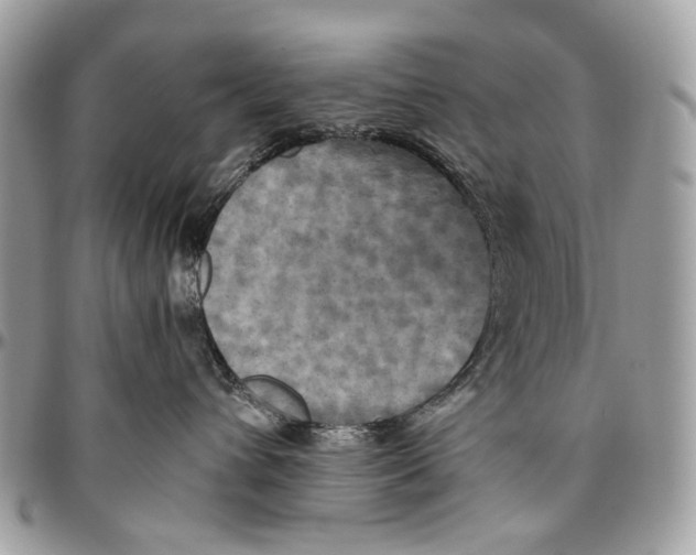 X0000096400432200802141523