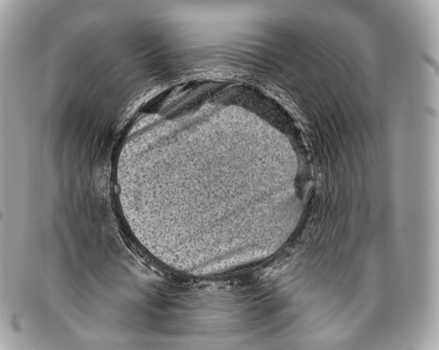 X0000096400434200802141522