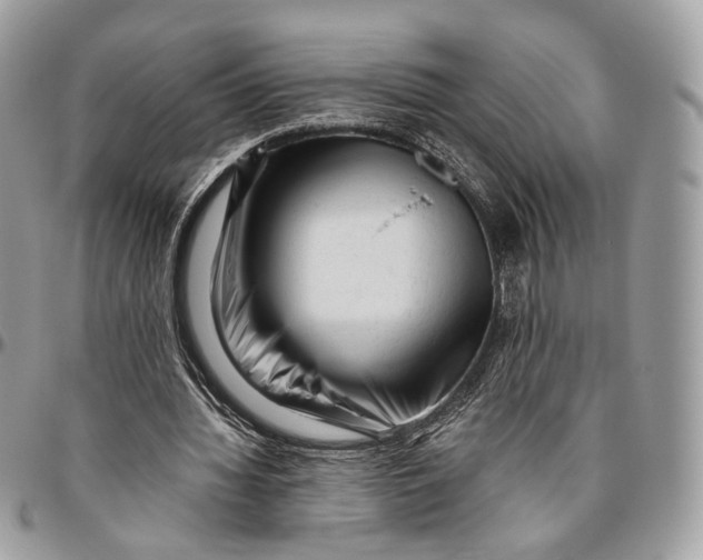 X0000096400436200802141522