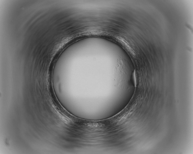 X0000096400439200802141522