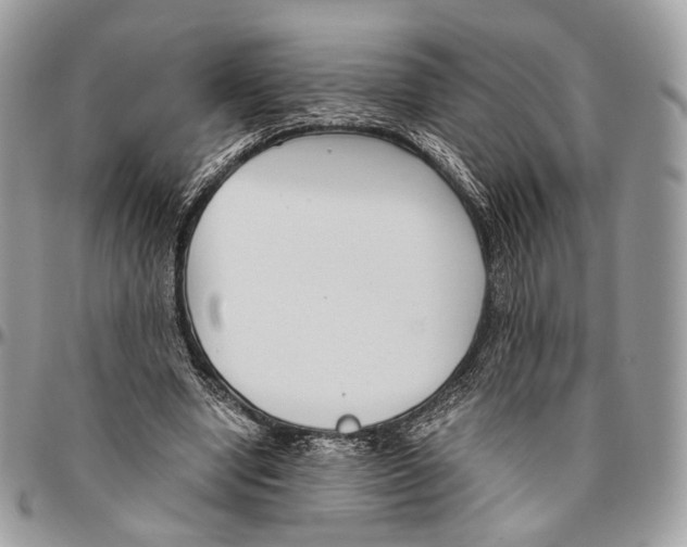 X0000096400442200802141522