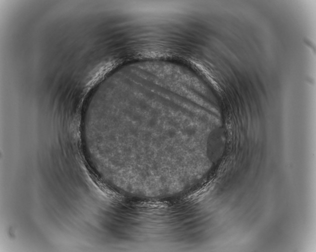 X0000096400443200802141522