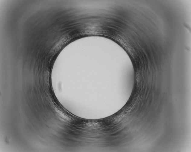 X0000096400445200802141522