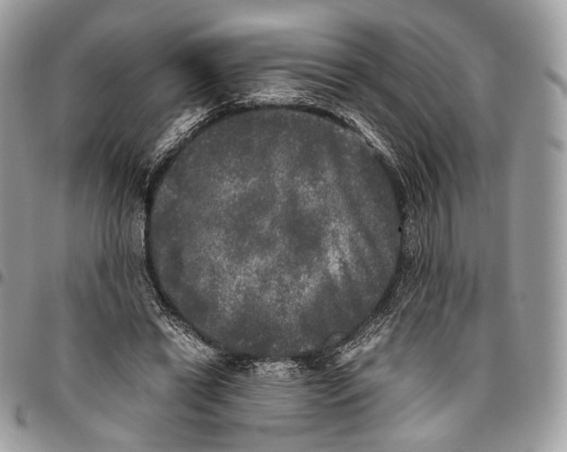 X0000096400446200802141522