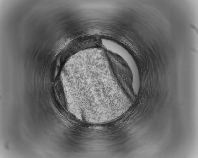 X0000096400448200802141522