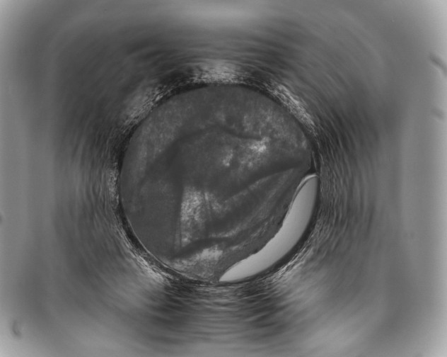 X0000096400449200802141522