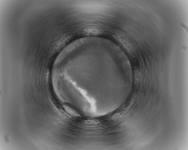 X0000096400451200802141522