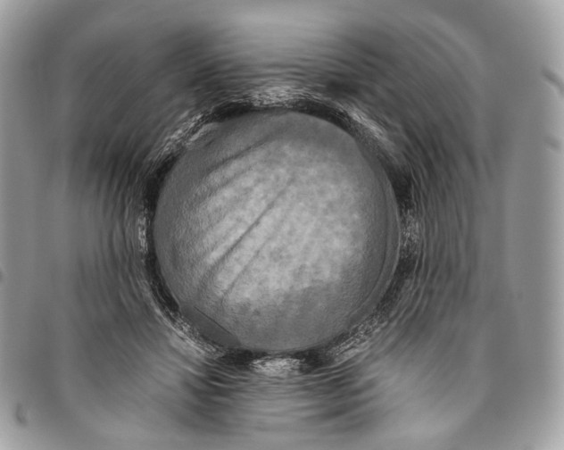 X0000096400452200802141522