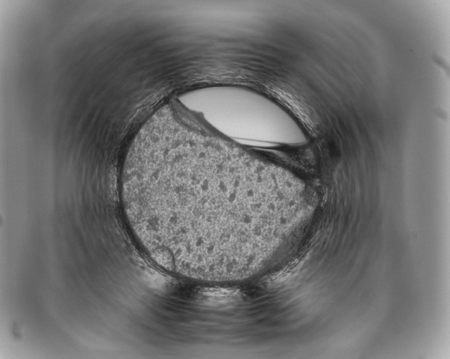 X0000096400453200802141522