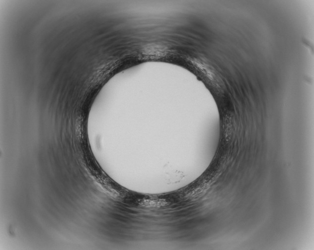 X0000096400455200802141522