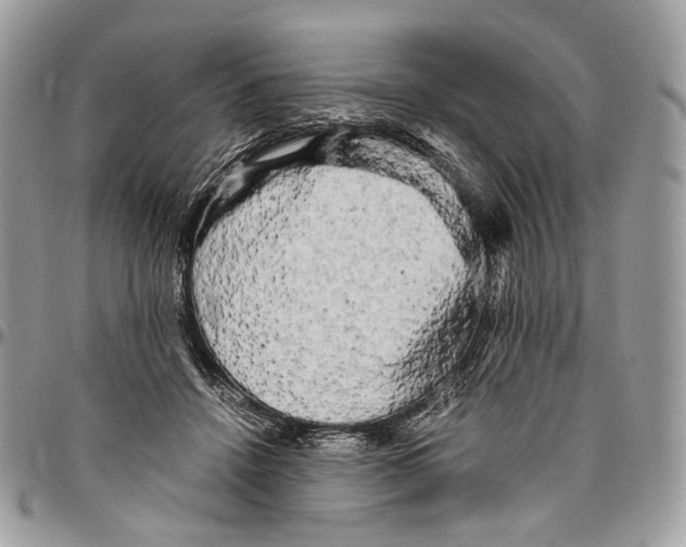 X0000096400456200802141522