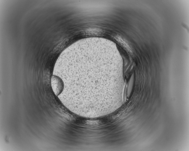 X0000096400457200802141522