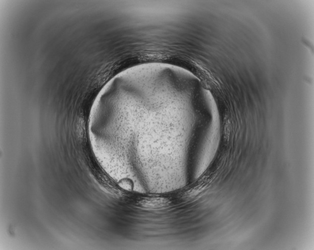 X0000096400459200802141522