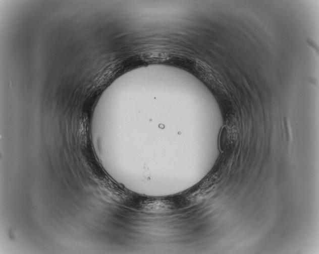 X0000096400460200802141522