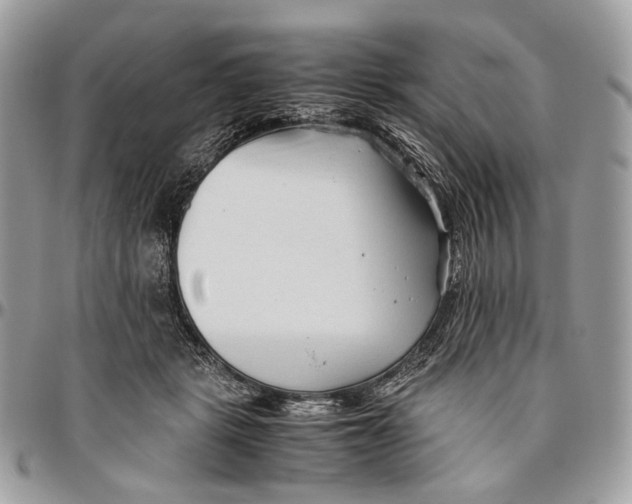 X0000096400461200802141522