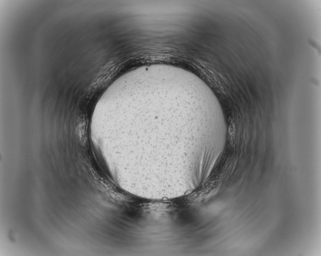 X0000096400462200802141522