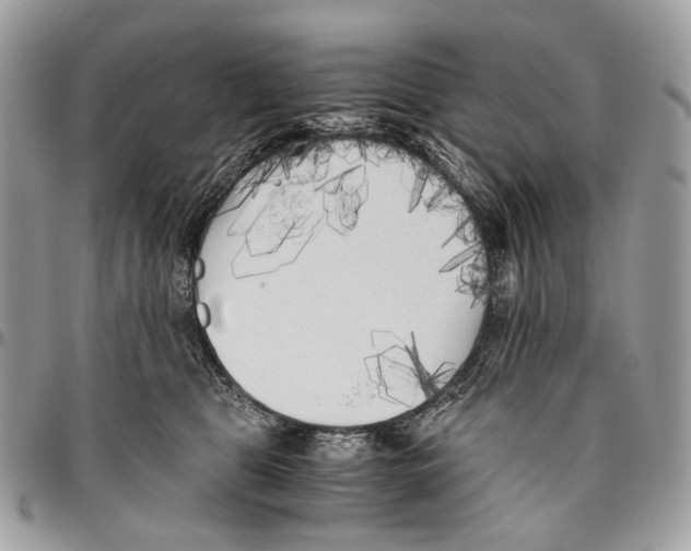 X0000096400469200802141522