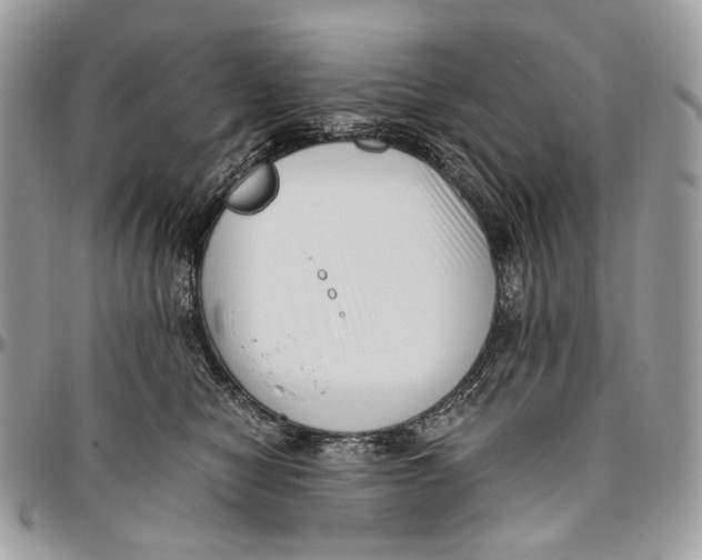 X0000096400470200802141522