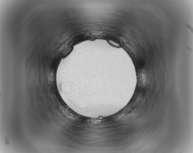 X0000096400472200802141522